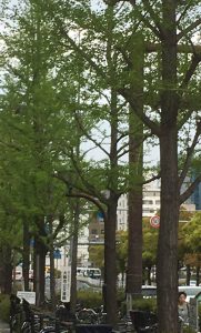 1976798cc87004688fd9a8404e1abcc6