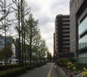 677eefa38f8af9b6a55e4734aa2c3008